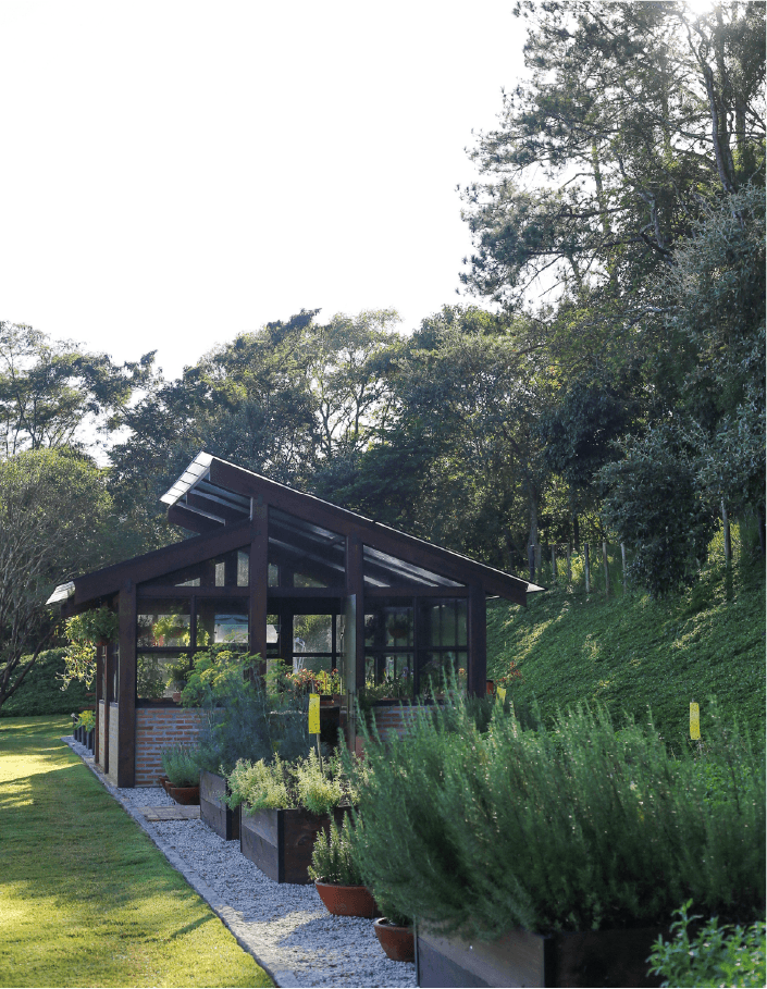 Casca de Cedro e Gardênia